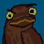 brawnyfrogmouth