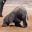 SeaBlu