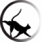 Team Catwheel