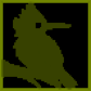 sewerbird