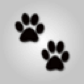CatsPawsGames