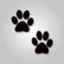 CatsPawsGames
