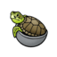 turtlesoup