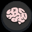 Brainoid