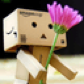 Mirroar