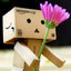 Mirroar