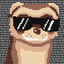 binaryferret