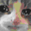 ProWolf