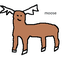 coldmoose