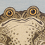 toad