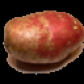 PotatoAndTaco