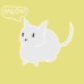 PiPiCat