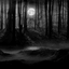 Vinterskog