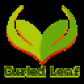 Curled Leaf