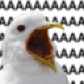 TheSemo