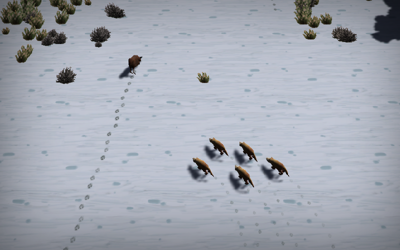 Winter Wilds