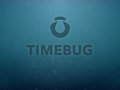 TIMEBUG