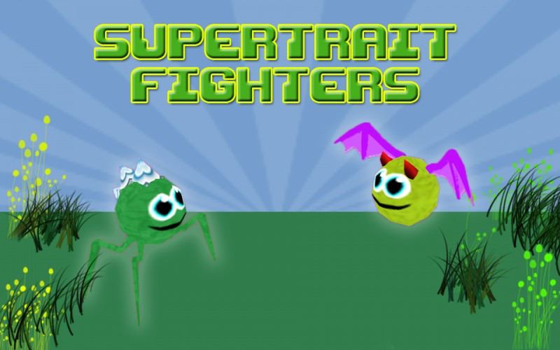 Super Trait  Fighter