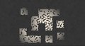 Puzzle Pieces