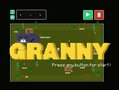 Granny Hates Cats