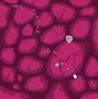 Viral0