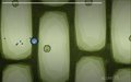 cell.erity