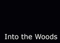 Into the Woods
