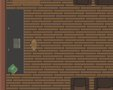 Paranormal Investigator