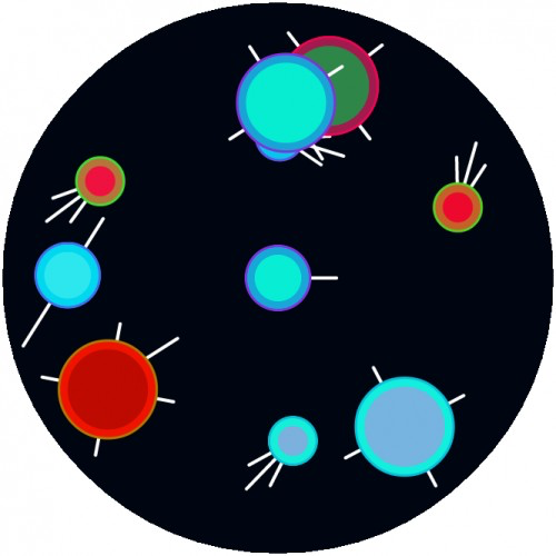 Sword and Circle