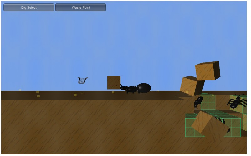 Ants
