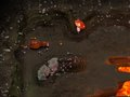 Ants at War