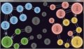 Connect and Conquer: Emperors