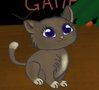 Tame Kitten