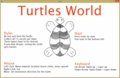 Turtles World