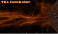 The incubator