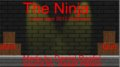The Ninja