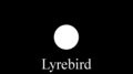 Lyrebird