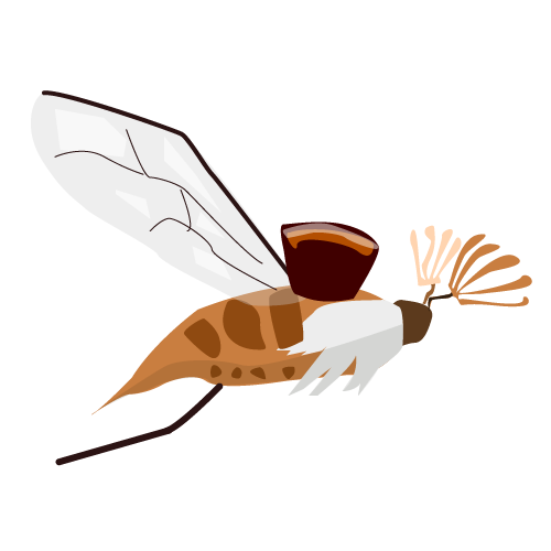 Chrysalide