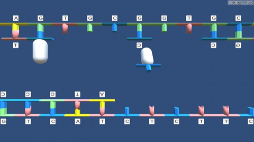 DNA Polymerase