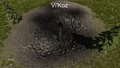 Vikoz