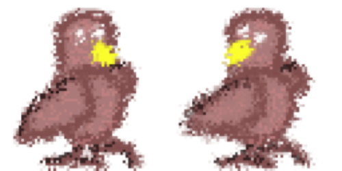 The Last Acorn