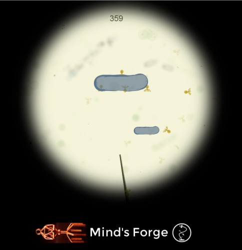 Phage Therapy