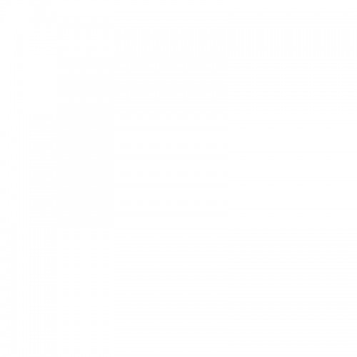 lorem ipsum