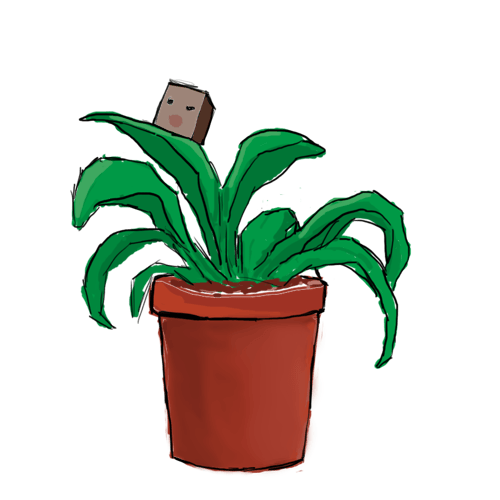 The man that changed into a plant.
