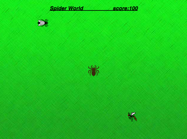 Spider World