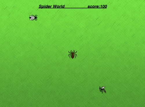 Spider World