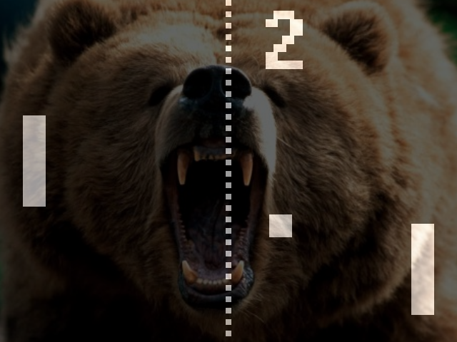 Bear Pong
