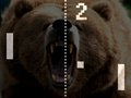 Bear Pong