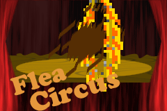 Flea Circus
