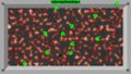 Bullet Hell